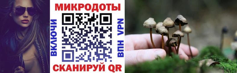 Галлюциногенные грибы мухоморы Белоярский